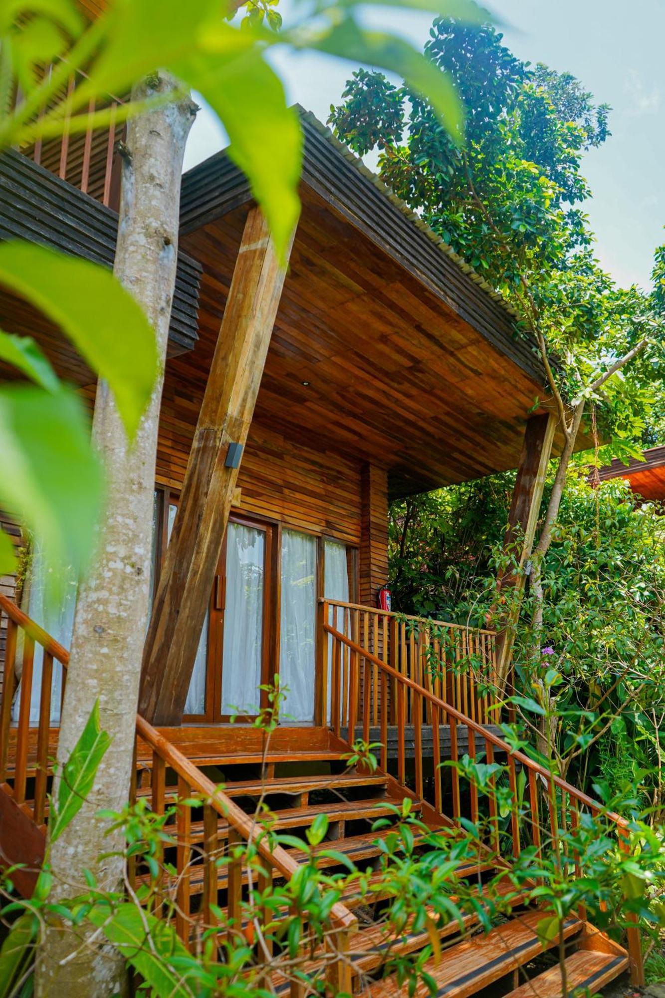 De Foret Elephant Beach Екстер'єр фото