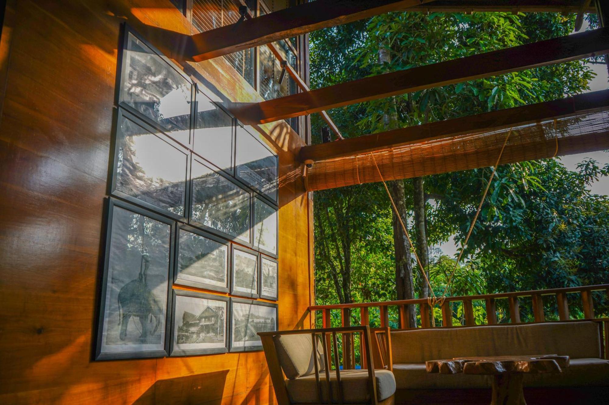 De Foret Elephant Beach Екстер'єр фото