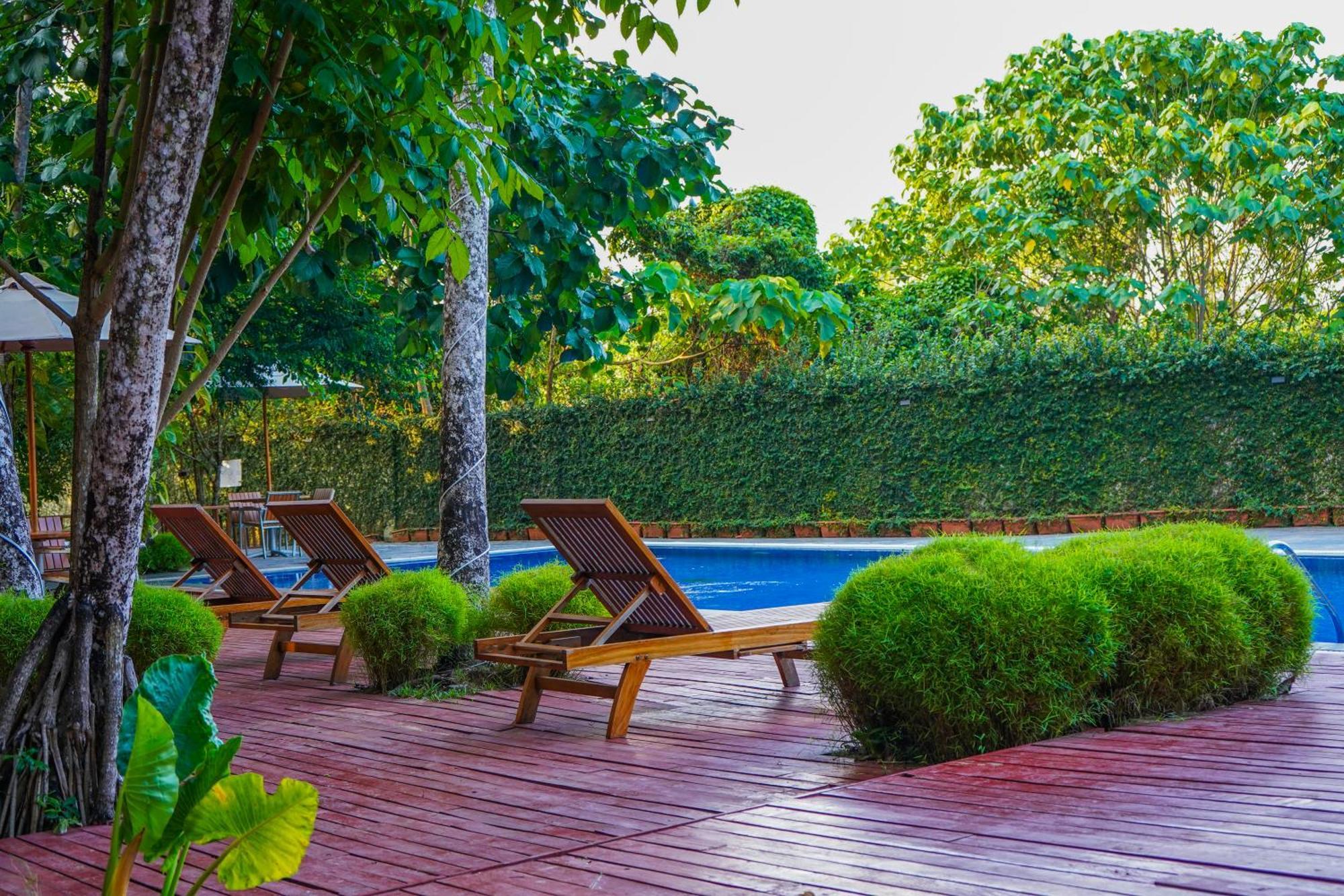 De Foret Elephant Beach Екстер'єр фото