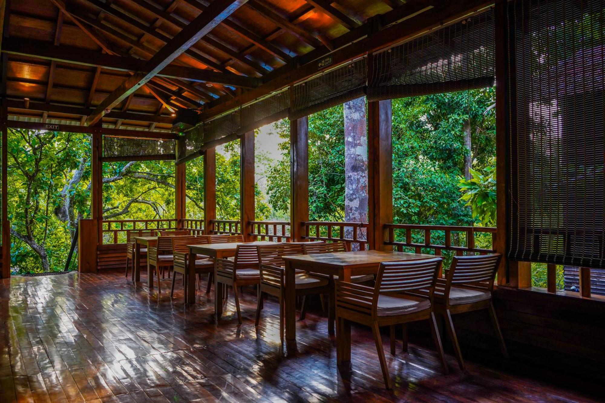 De Foret Elephant Beach Екстер'єр фото